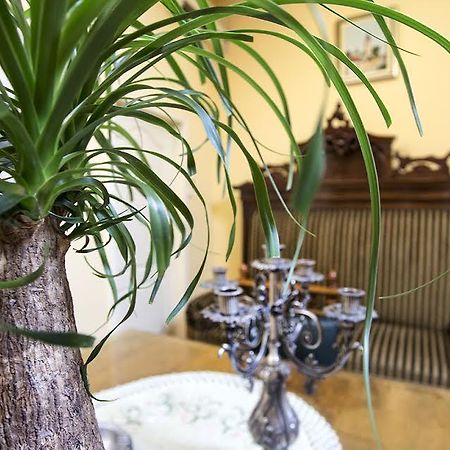 Luna Apartment نوفي ساد المظهر الخارجي الصورة