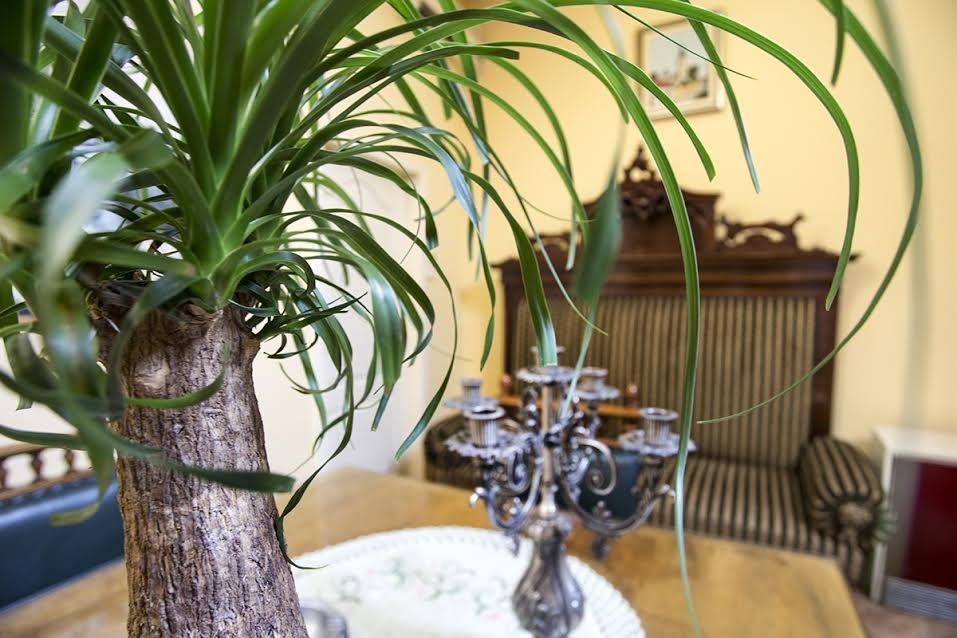 Luna Apartment نوفي ساد المظهر الخارجي الصورة